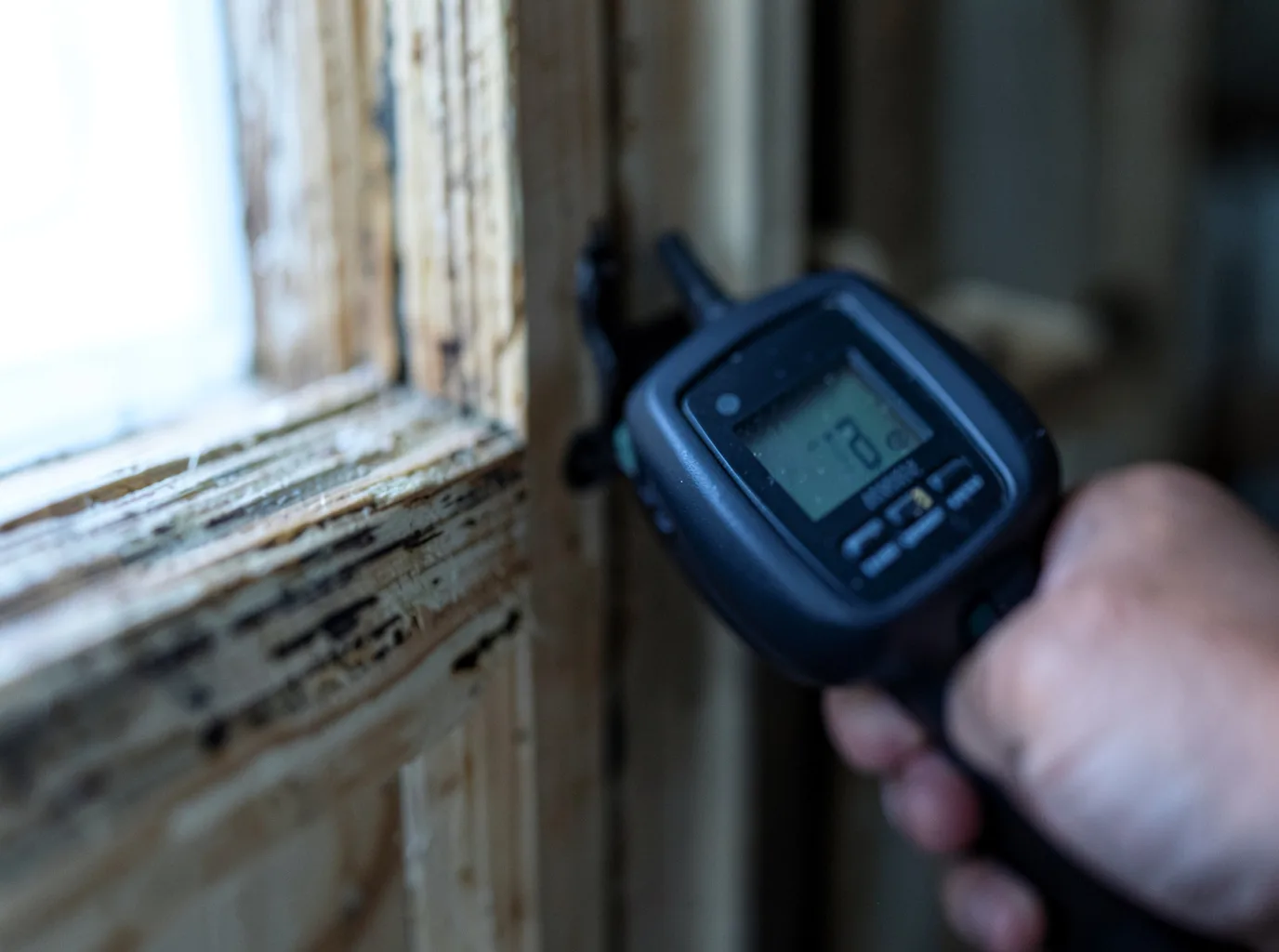 Moisture Inspection And Documentation in Edgerton, WI